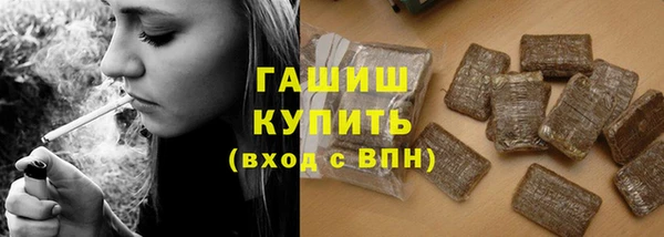 крисы Баксан
