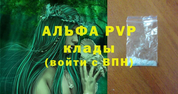 крисы Баксан