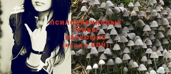 крисы Баксан