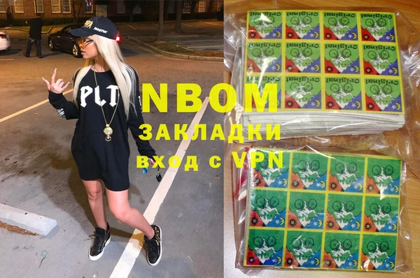 крисы Баксан