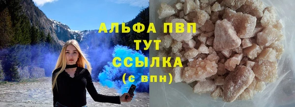 крисы Баксан
