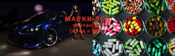 крисы Баксан